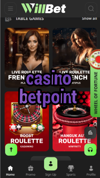 Casino Betpoint - Points-Based Casino System-casinoorder.vip