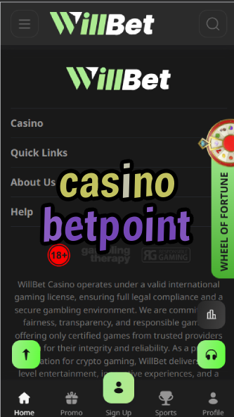 Casino Betpoint - Points-Based Casino System-casinoorder.vip
