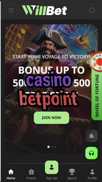 Casino Betpoint - Points-Based Casino System-casinoorder.vip